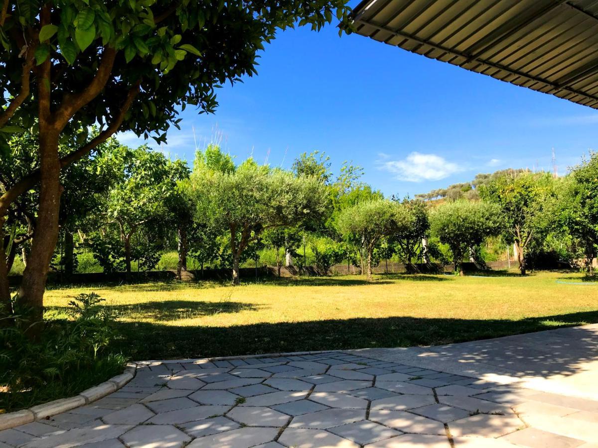 Apartments Kraja Ulcinj Zewnętrze zdjęcie
