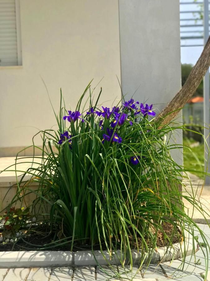 Apartments Kraja Ulcinj Zewnętrze zdjęcie