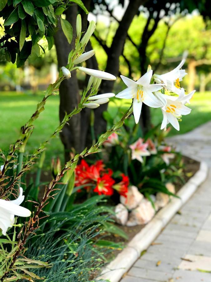 Apartments Kraja Ulcinj Zewnętrze zdjęcie